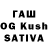 Псилоцибиновые грибы GOLDEN TEACHER Ven Grig