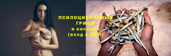 гидропоника Сосновка