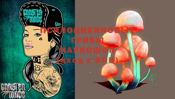 гидропоника Сосновка
